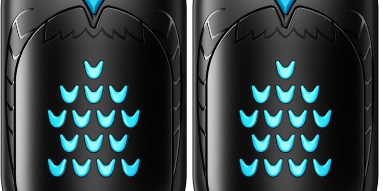Hand Warmers Rechargeable, 2 Pack 6000mAh Electric Portable Heater, 20 Hrs Long Heating Hot Pockets Hand Warmer, Hunting Gear, Gifts for Women, Men, Raynauds, Camping, Golf, Outdoors