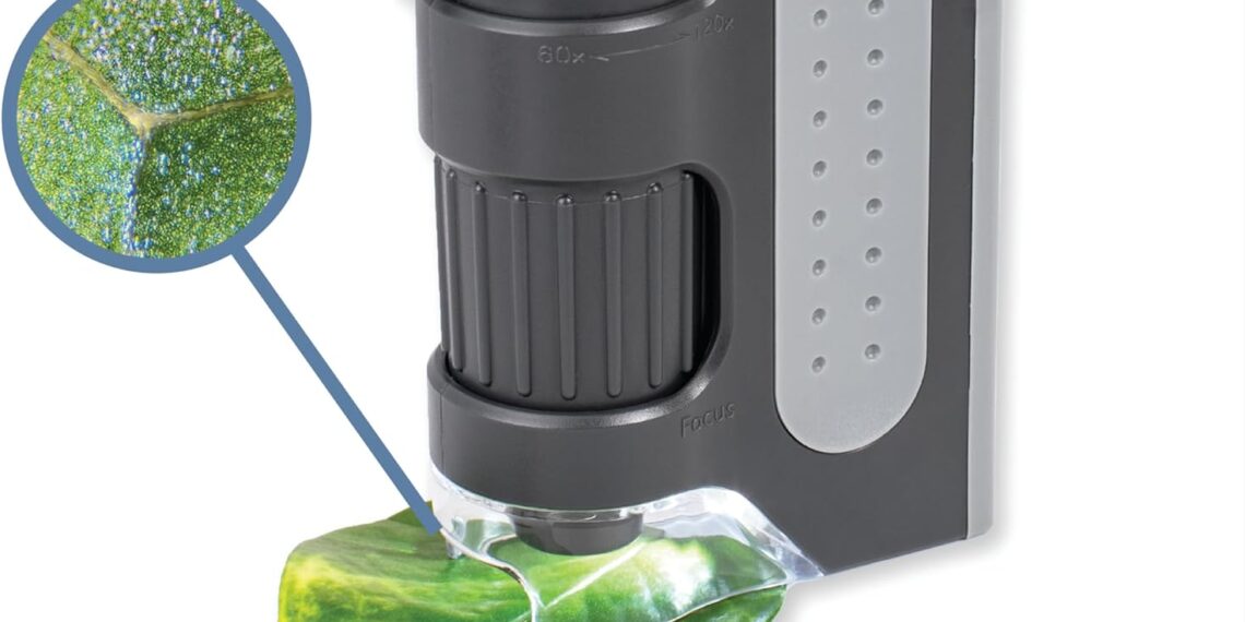 Carson MicroBrite Plus 60x-120x Accurate LED Lighted Pocket Microscope, Portable Educational STEM Toy, Mini Handheld Microscope for Student Science Lab (MM-300)